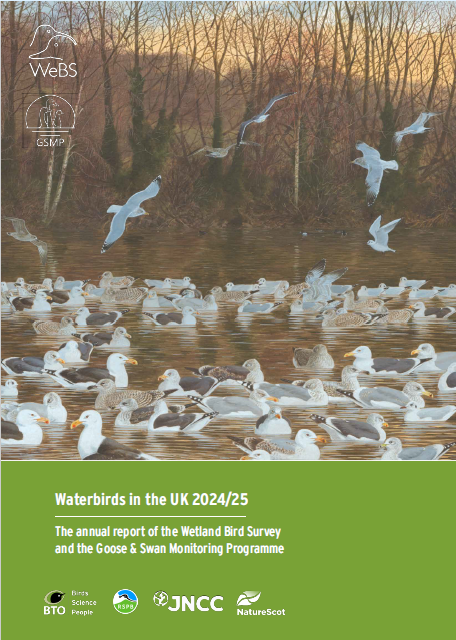 Waterbirds in the UK Annual Report 2024 2025